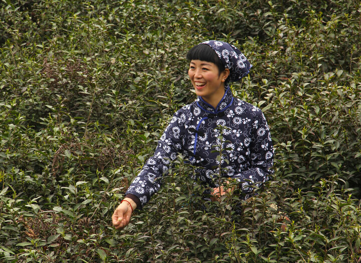动漫客服